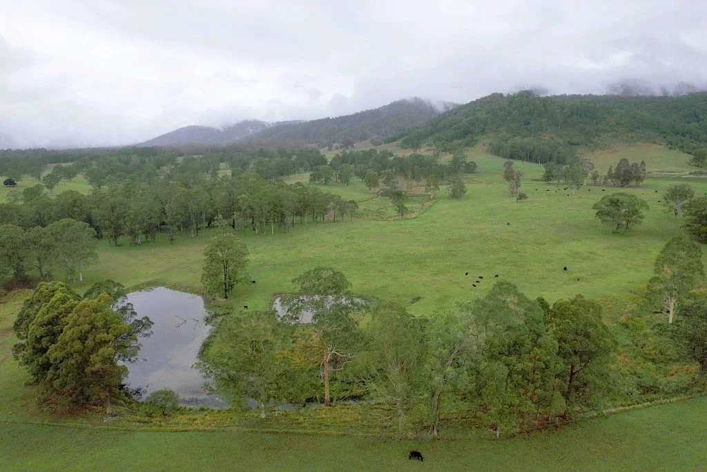 Additional image 22 of 455 Woods Road, Gloucester NSW 2422