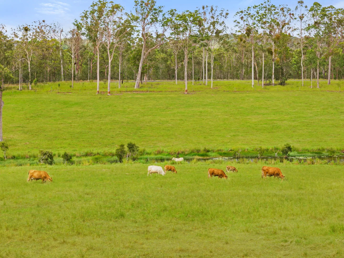 Additional image 8 of 1600 Anderleigh Road, Anderleigh QLD 4570