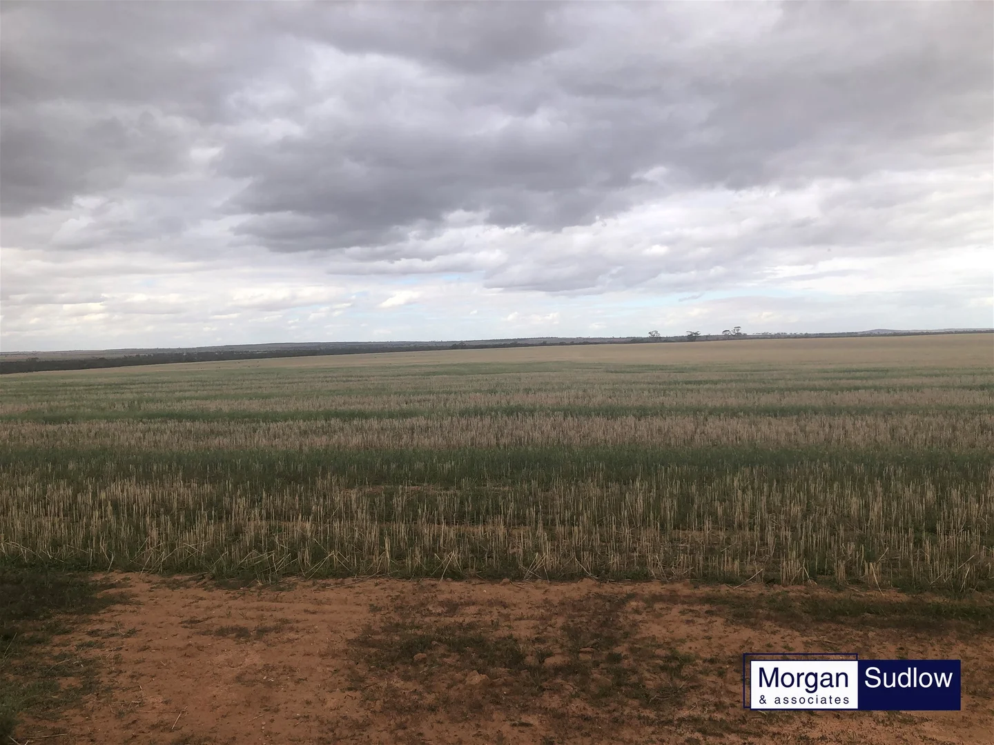 Additional image 4 of RURAL LANDHOLDING, Trayning WA 6488