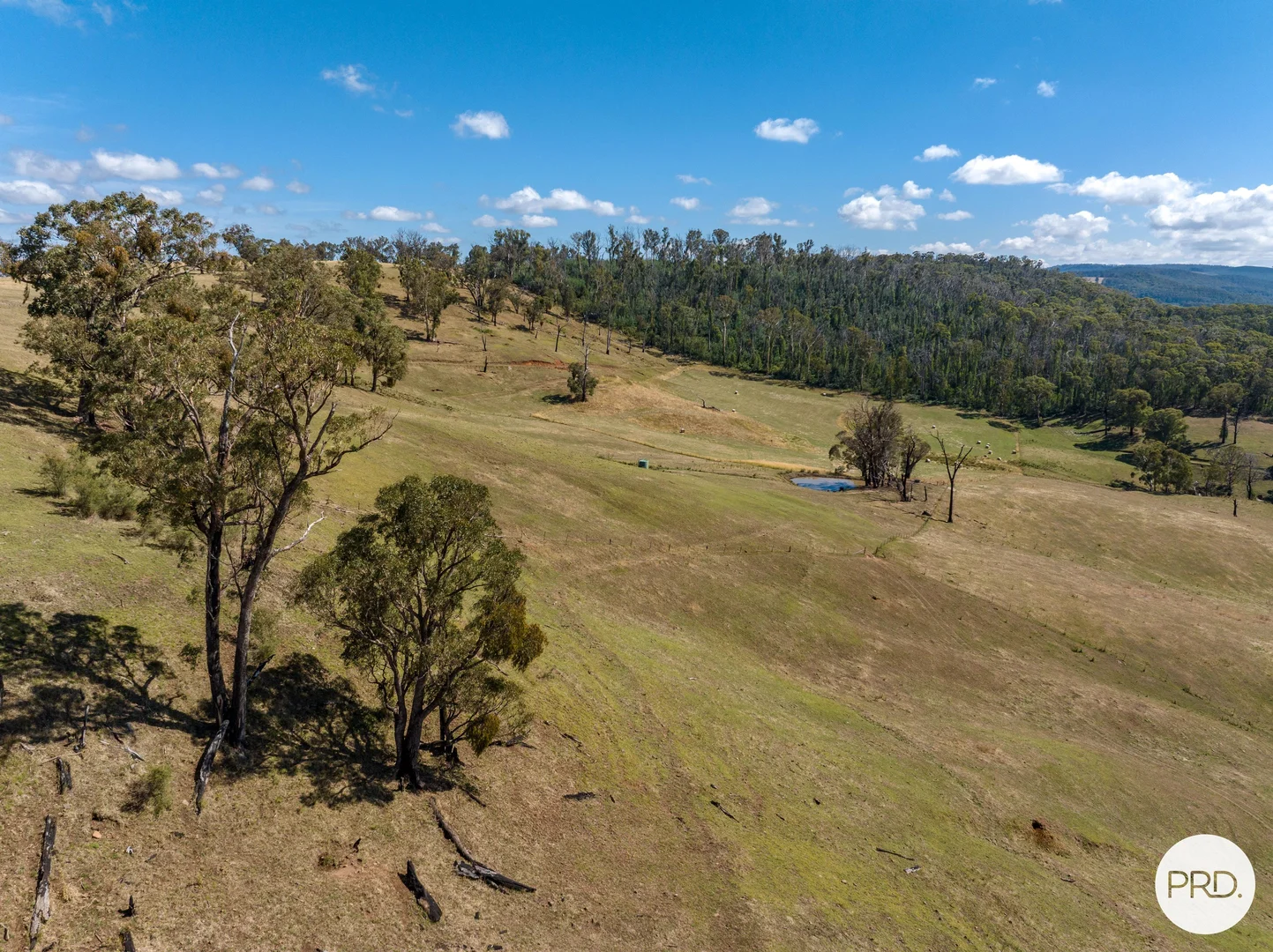 Additional image 48 of 1100 Batlow Road, Tumbarumba NSW 2653