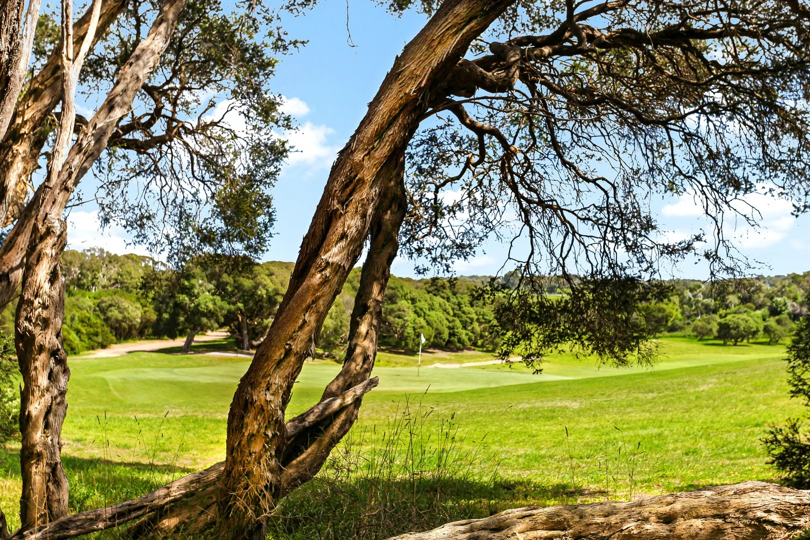 Additional image 5 of 2 Woodland Way, Fingal VIC 3939