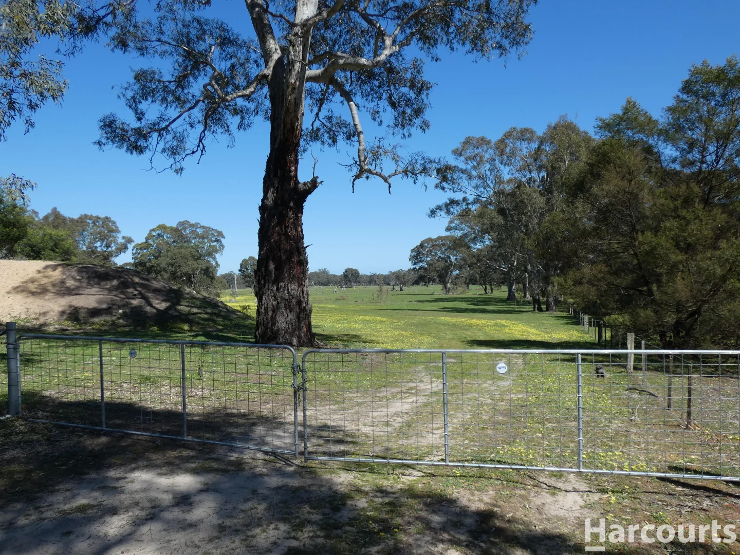 Additional image 9 of . Red Rock Road, Glenisla VIC 3314