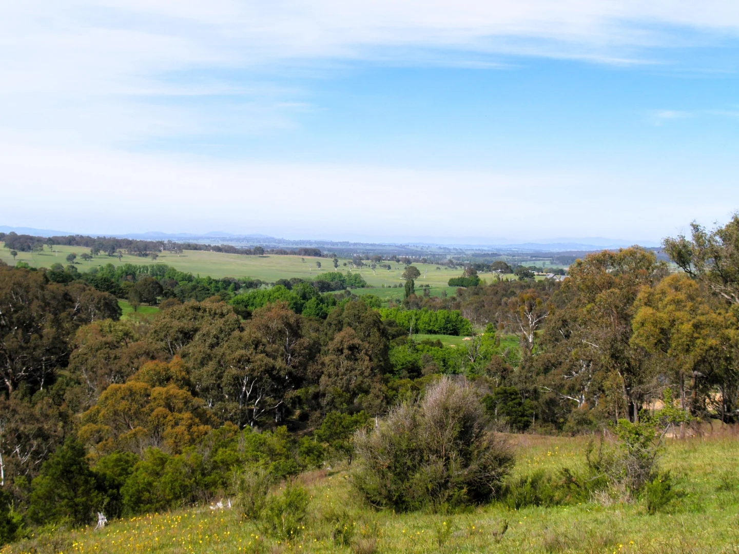 Additional image 11 of 198 Wurungul Lane, Gundaroo NSW 2620