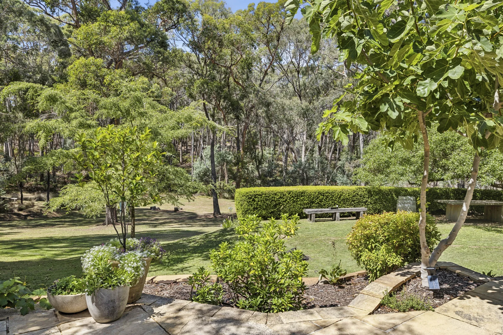 Additional image 21 of 76 Woolnoughs Road, Porcupine Ridge VIC 3461