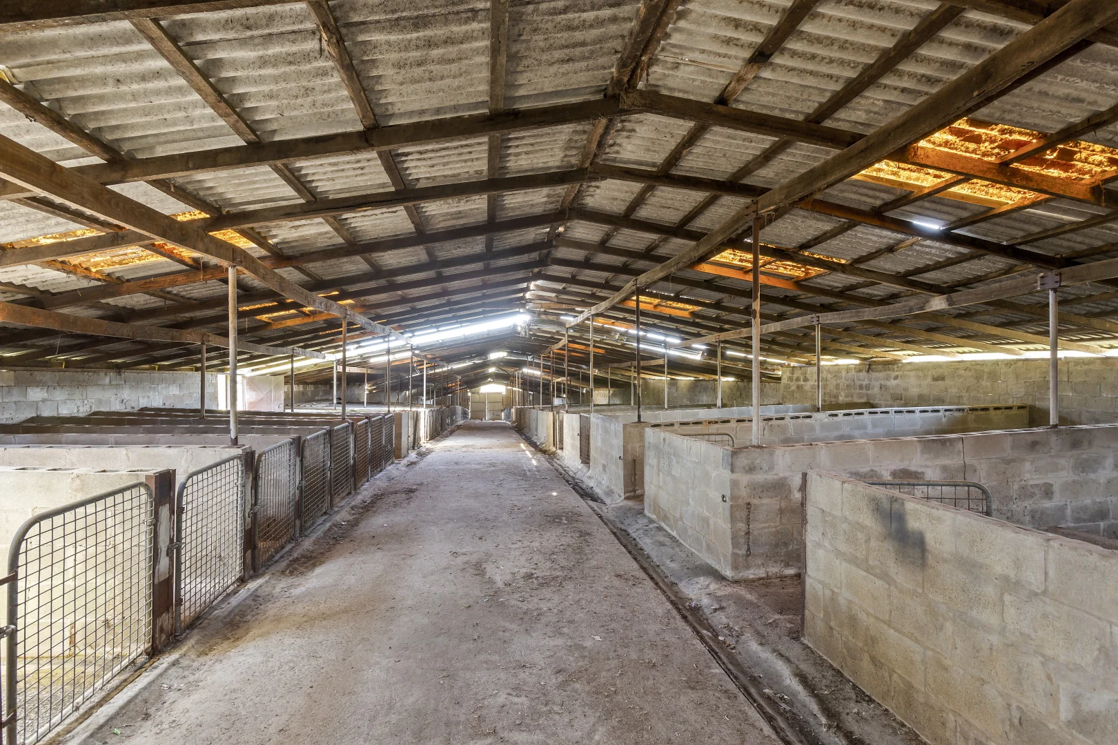 Additional image 10 of 715 Great Ocean Road, Bellbrae VIC 3228