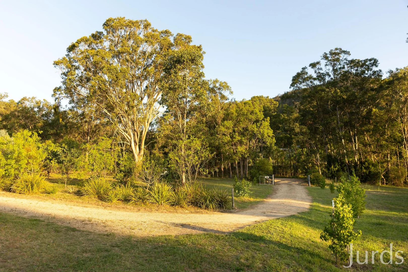 Additional image 28 of 1066 Wollombi Road, Broke NSW 2330