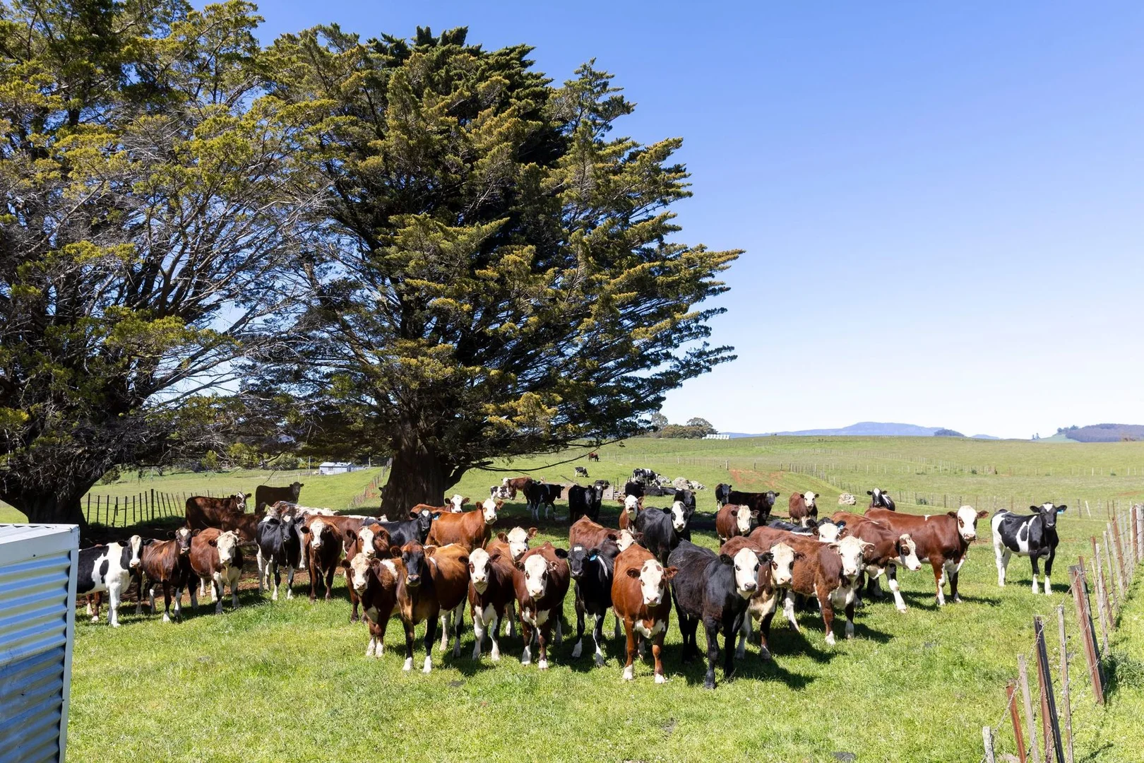 Additional image 9 of 1532 Preston Road, Preston TAS 7315