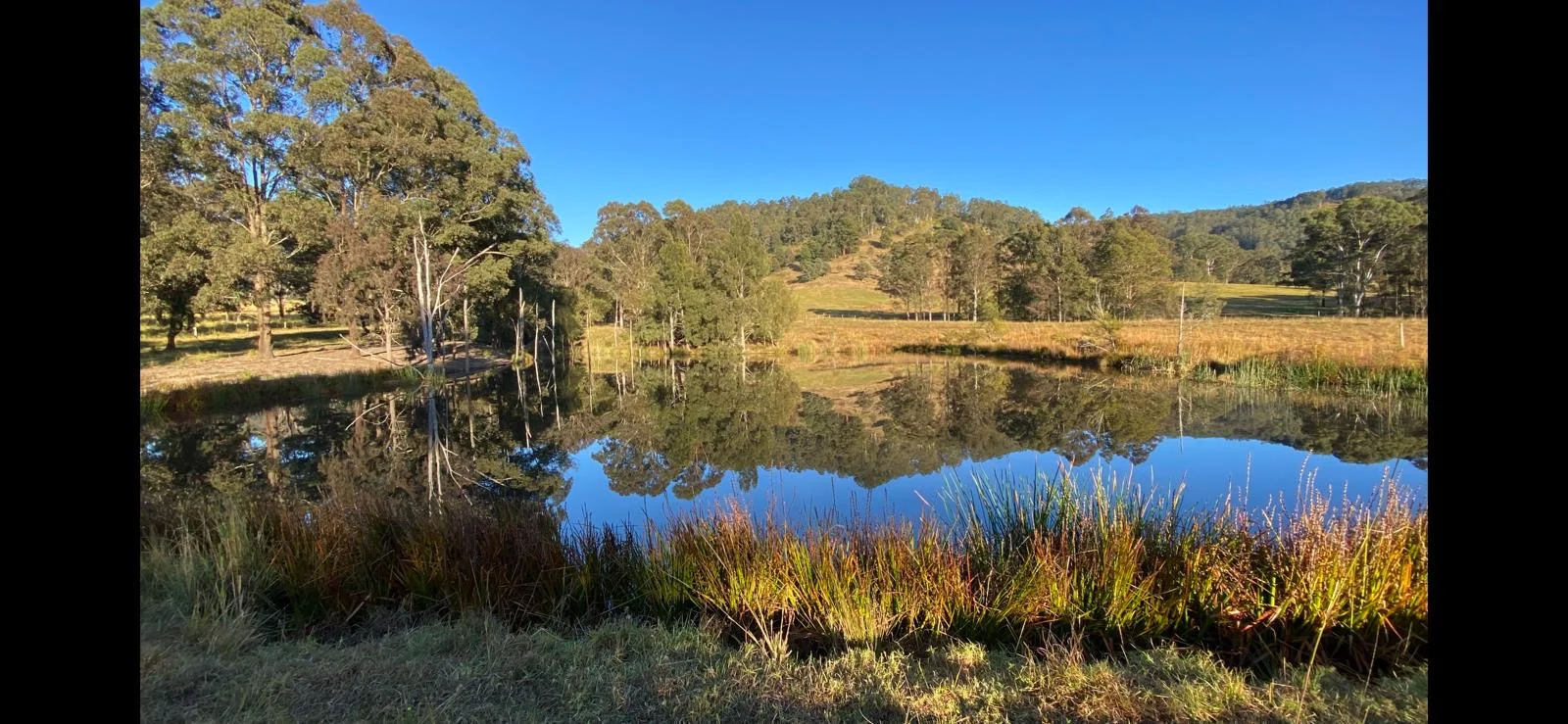 Additional image 5 of 455 Woods Road, Gloucester NSW 2422