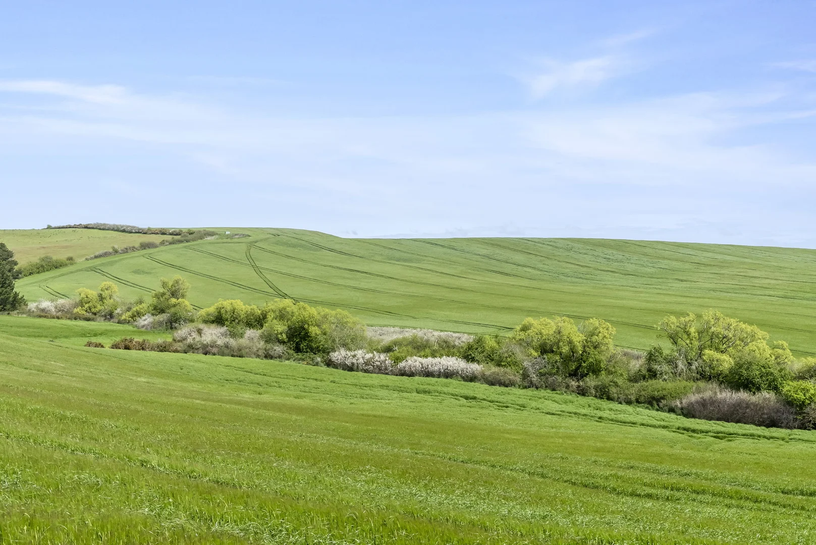 Additional image 9 of . White Hills Road, White Hills TAS 7258