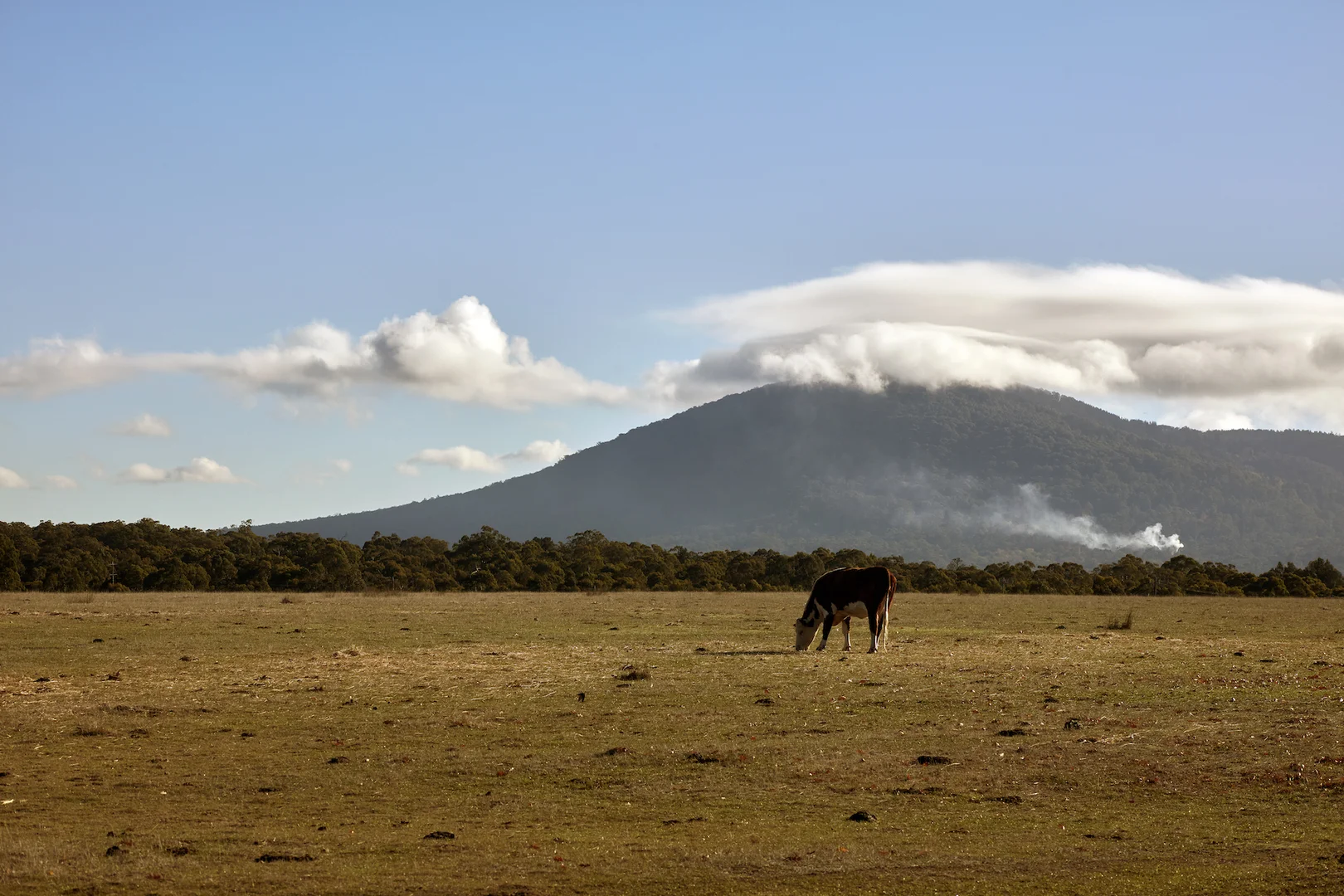 Additional image 9 of 65 Lawson Road, Gisborne VIC 3437
