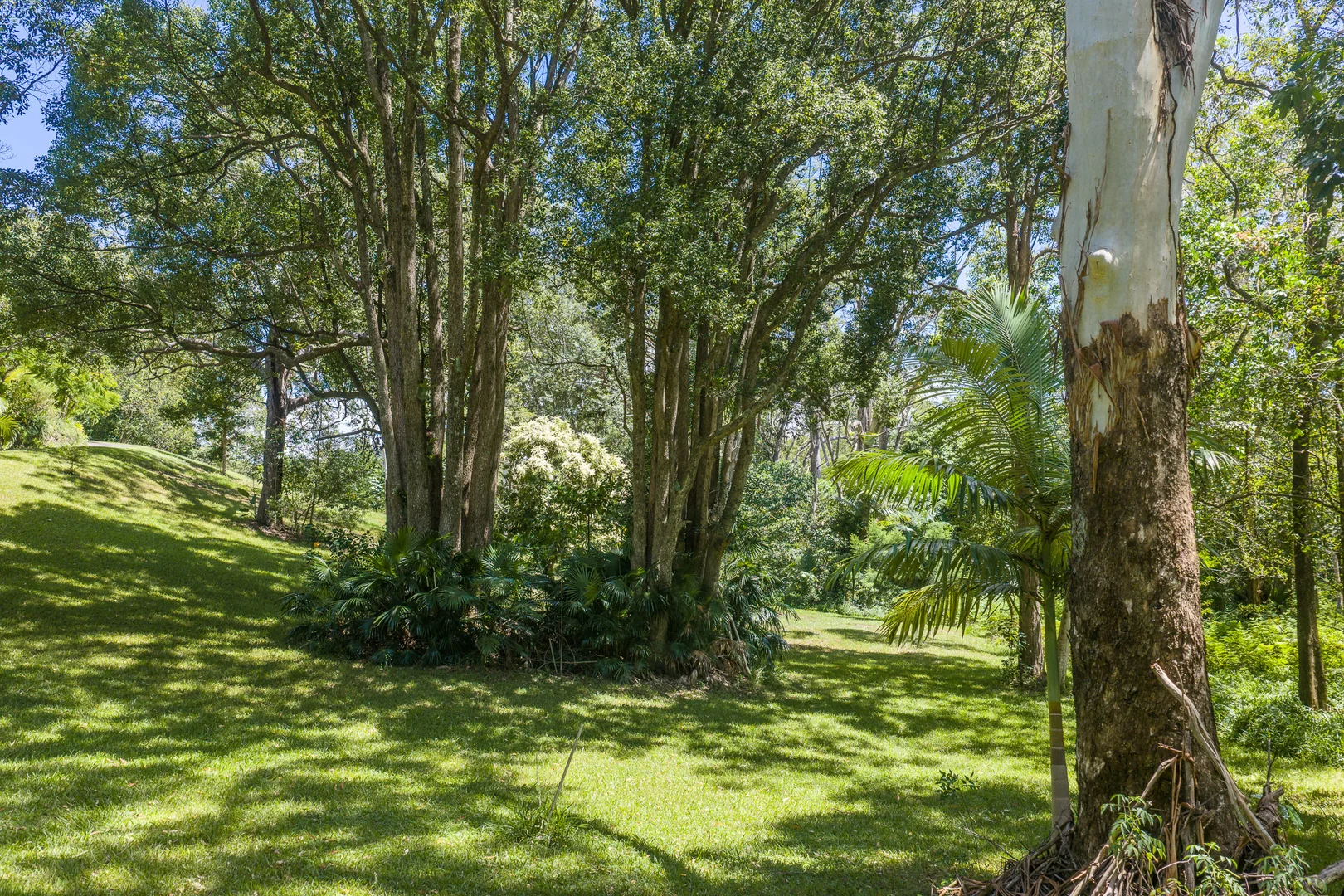 Additional image 26 of 63A Kingsvale Road, Myocum NSW 2481
