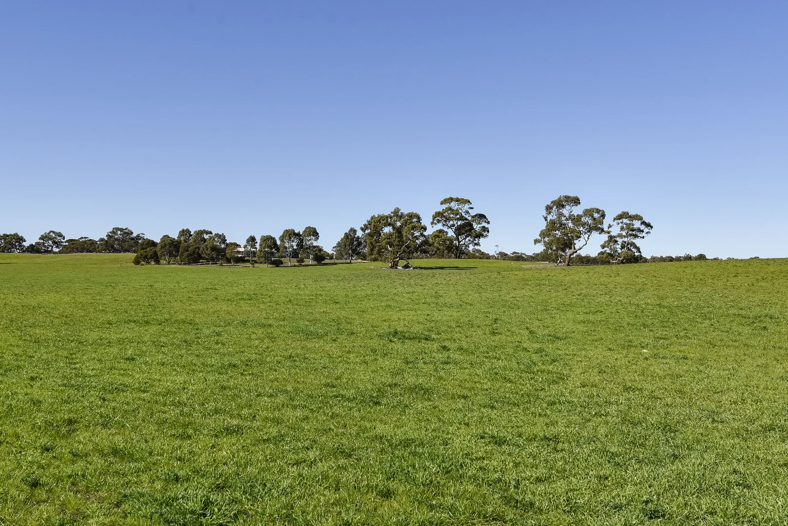 Additional image 19 of 381 & 907 Pascoe Road, Coonalpyn SA 5265