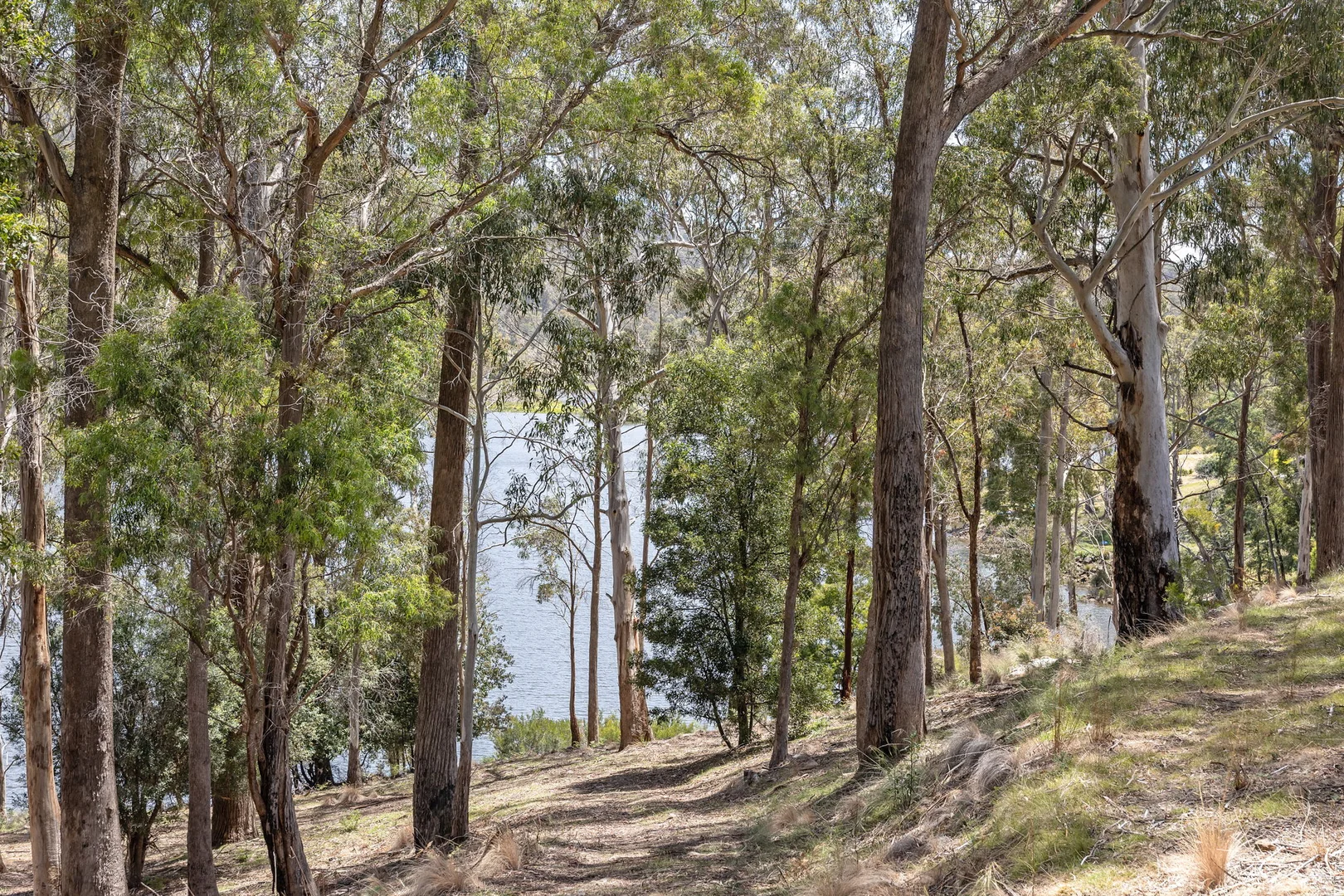 Additional image 3 of 176 Blackstone Road, Blackstone Heights TAS 7250