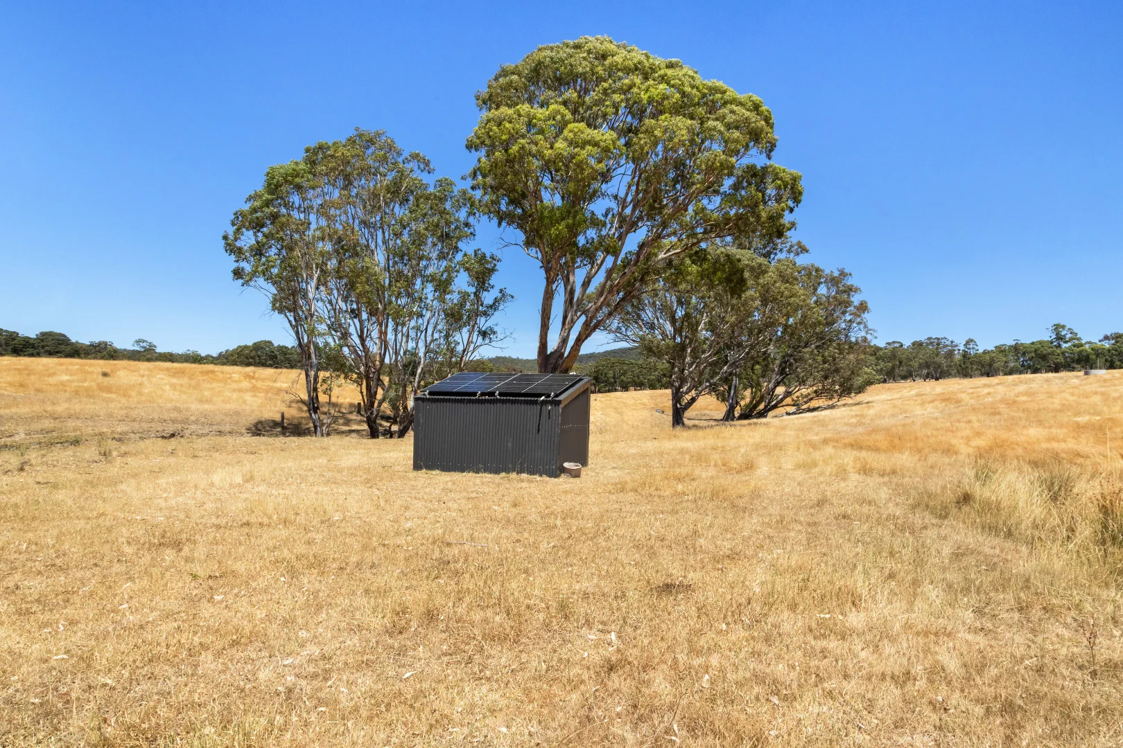 Additional image 4 of 113 Mount Lonarch Road, Mount Lonarch VIC 3468