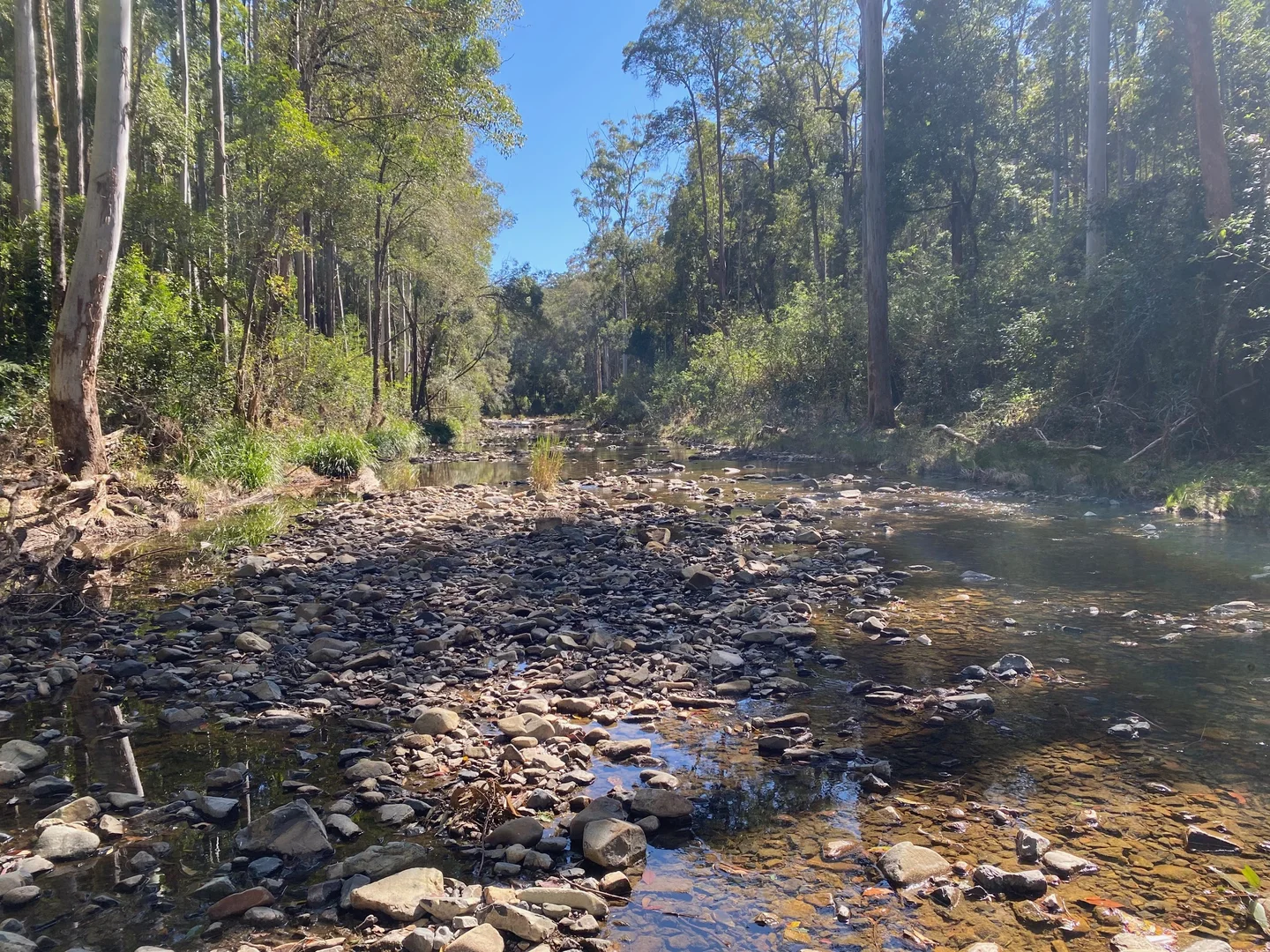 Additional image 15 of 427 Shaws Road, Hollisdale NSW 2446