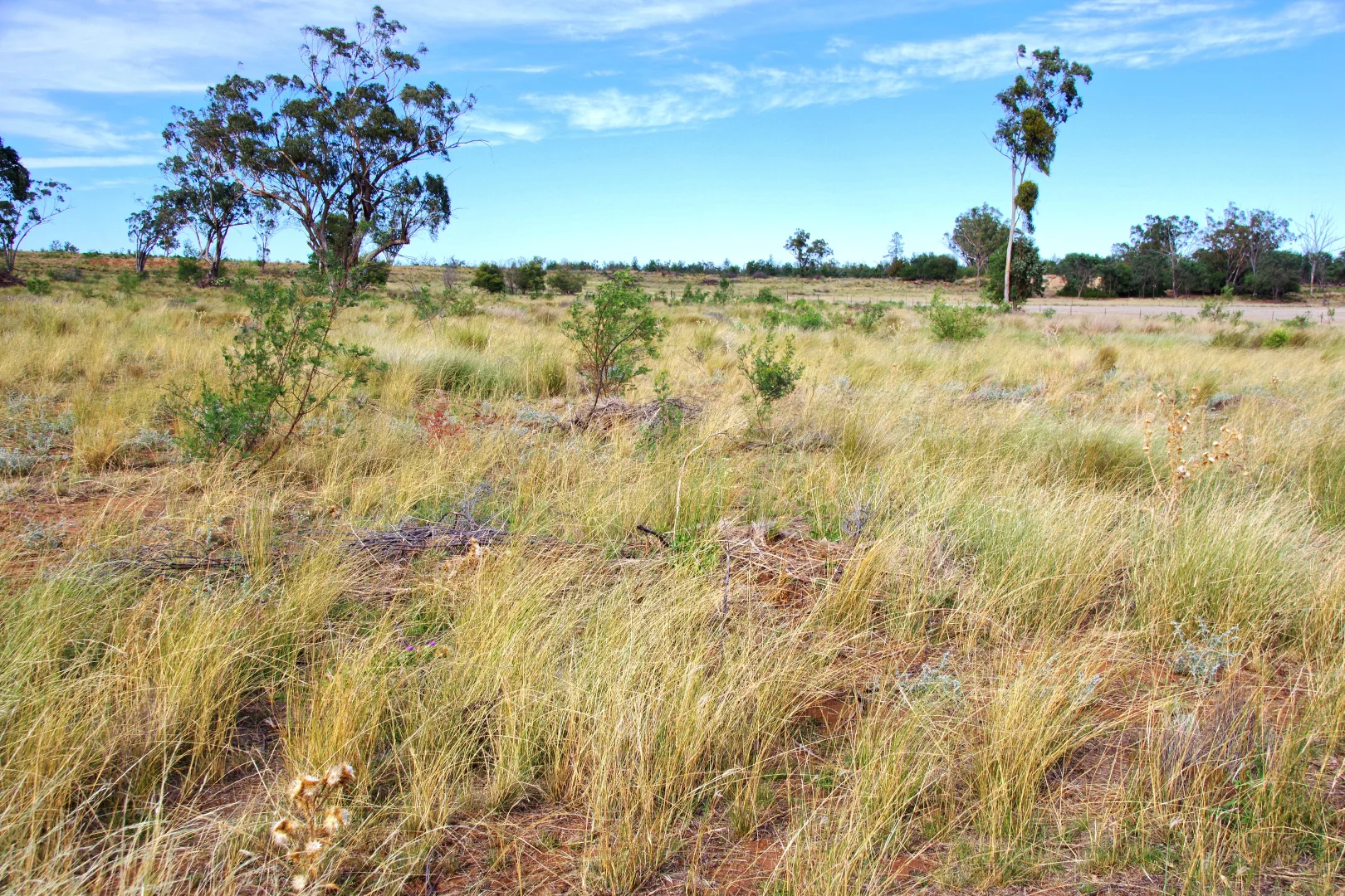 Additional image 8 of 2381. Killarney Gap Road, Narrabri NSW 2390