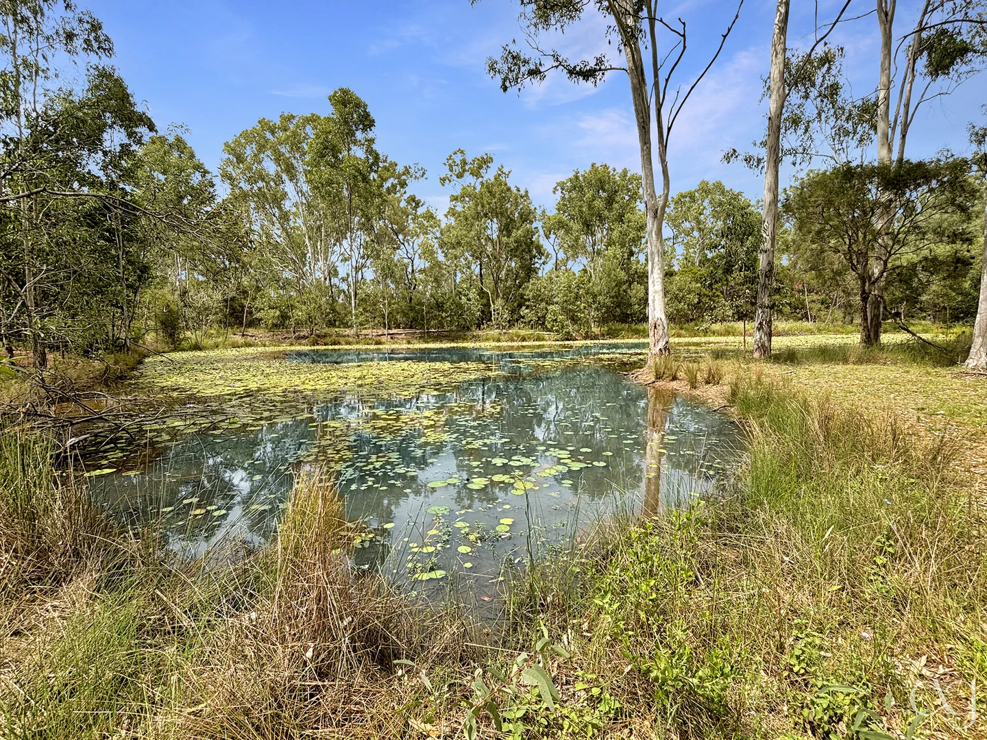 Additional image 35 of 91 Goebels Road, Mutdapilly QLD 4307