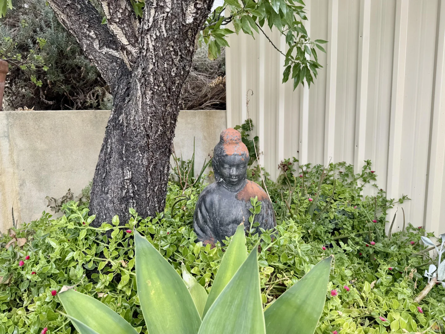 Additional image 46 of 8 Willis Road, Beaconsfield WA 6162