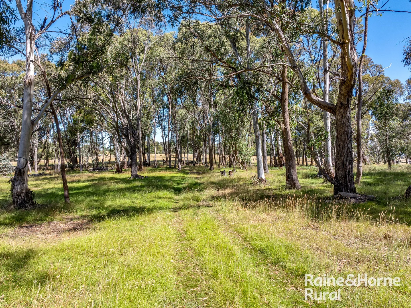 Additional image 3 of 1739 Bigga Road, Bigga NSW 2583