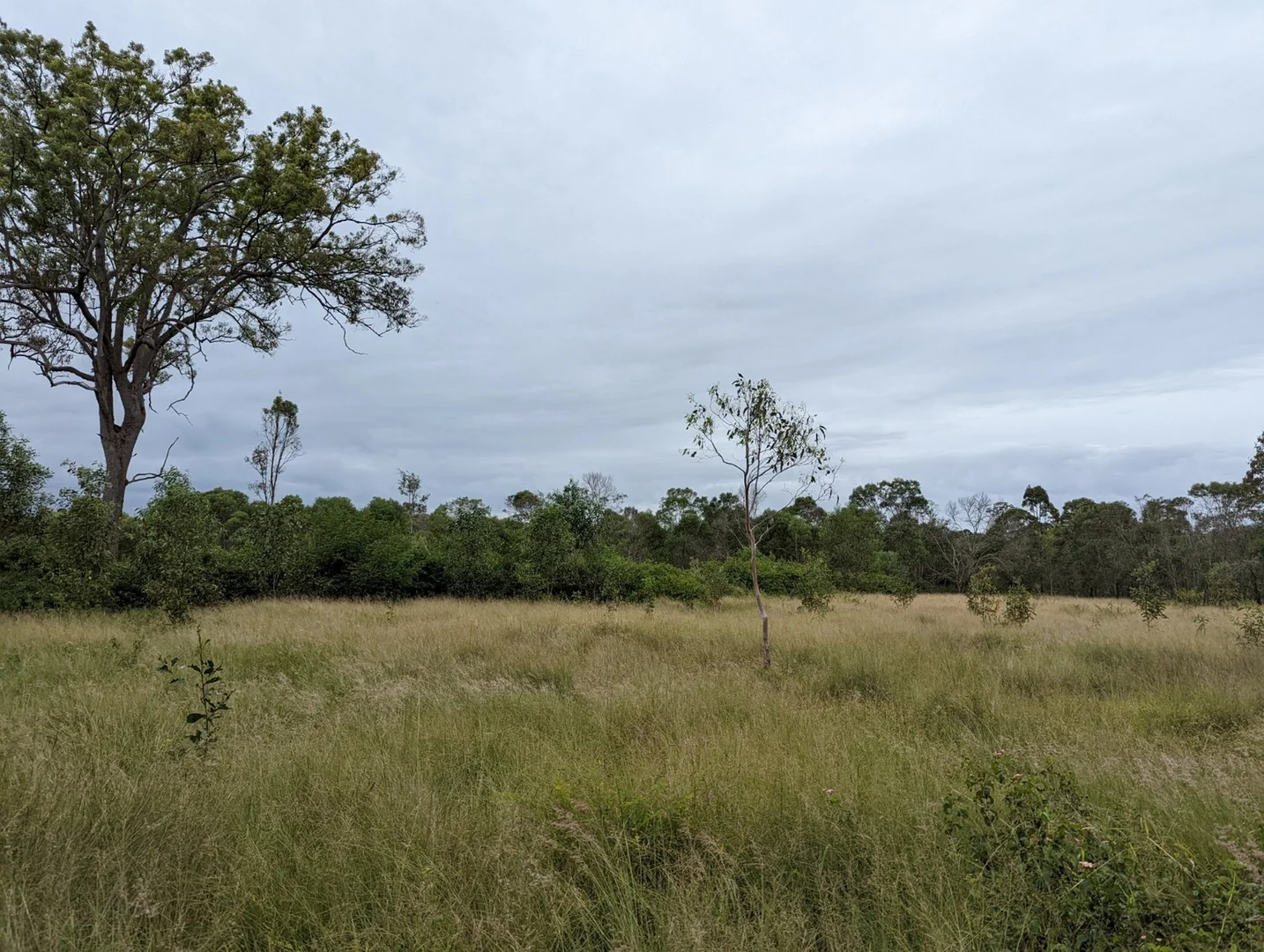 Additional image 20 of 13 Quarry Road, Churchable QLD 4311