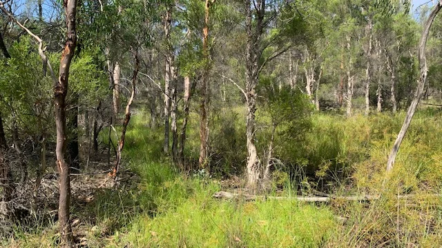 Additional image 8 of L184 Golden Glow Road, Tara QLD 4421