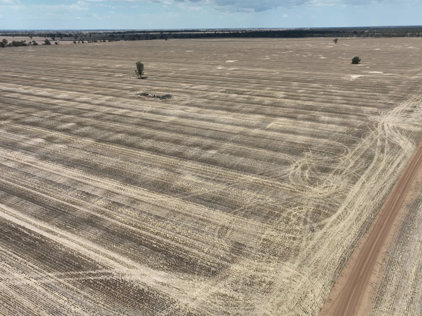 Additional image 6 of 'The Pines' 211 Dicks Camp Road, Collie NSW 2827