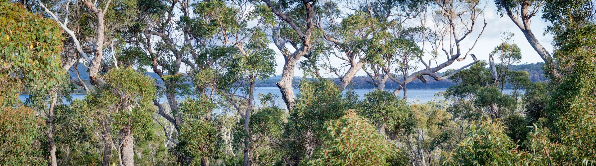 Additional image 44 of 63 karri street, Walpole WA 6398