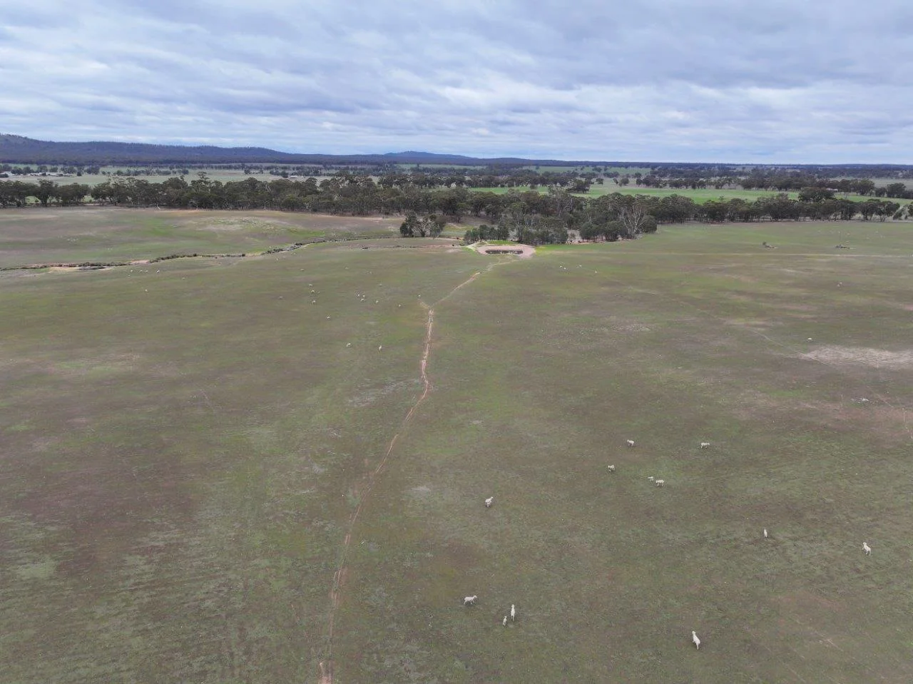 Additional image 14 of Lot 1 Rheola - Llanelly Road, Murphys Creek VIC 3551