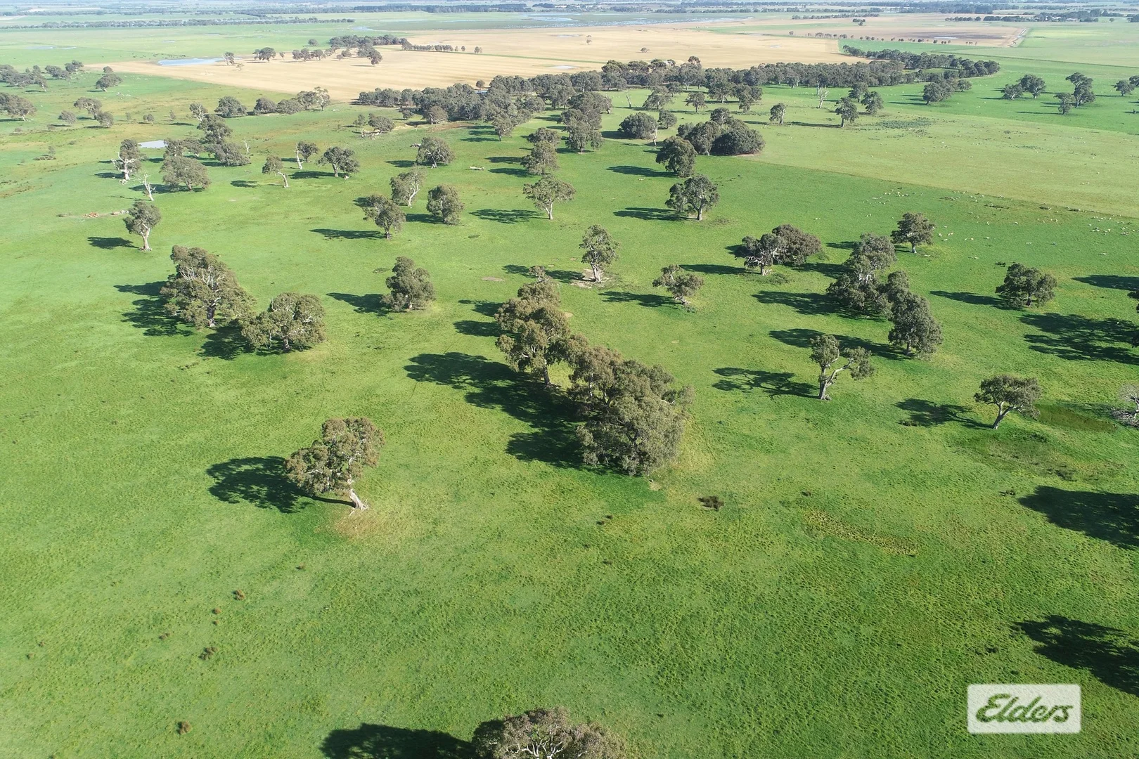 Additional image 8 of CA 91a 91b Mitchell Street, Glenthompson VIC 3293