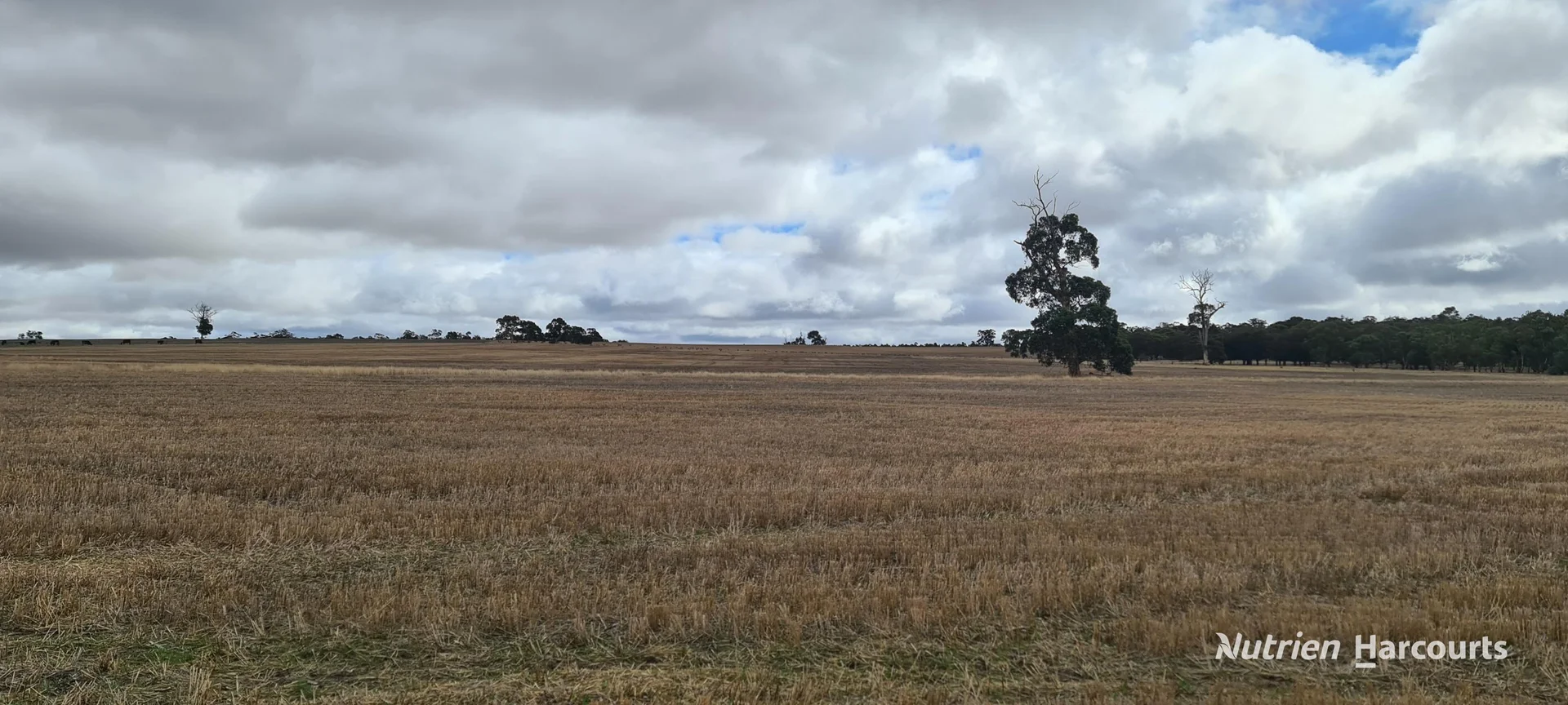 Additional image 11 of Lot 347 Yarralena Road, Cranbrook WA 6321