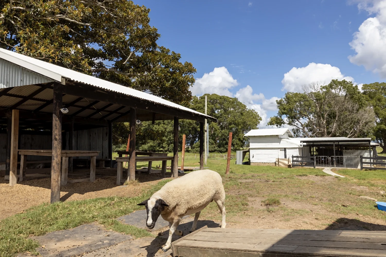 Additional image 29 of 1110 Macleay Valley Way, Bellimbopinni NSW 2440