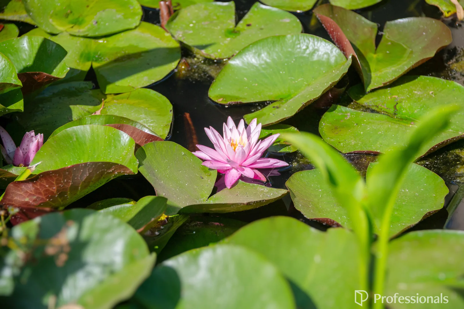 Additional image 32 of 15B Old Warburton Road, Warburton VIC 3799