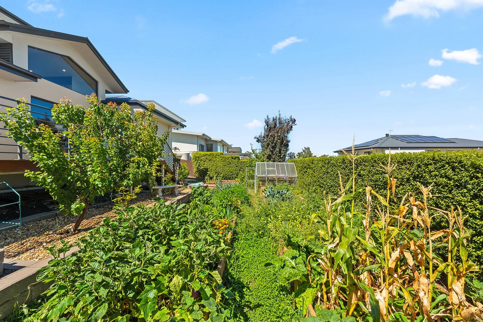 Additional image 31 of 6 Temple Terrace, Denman Prospect ACT 2611