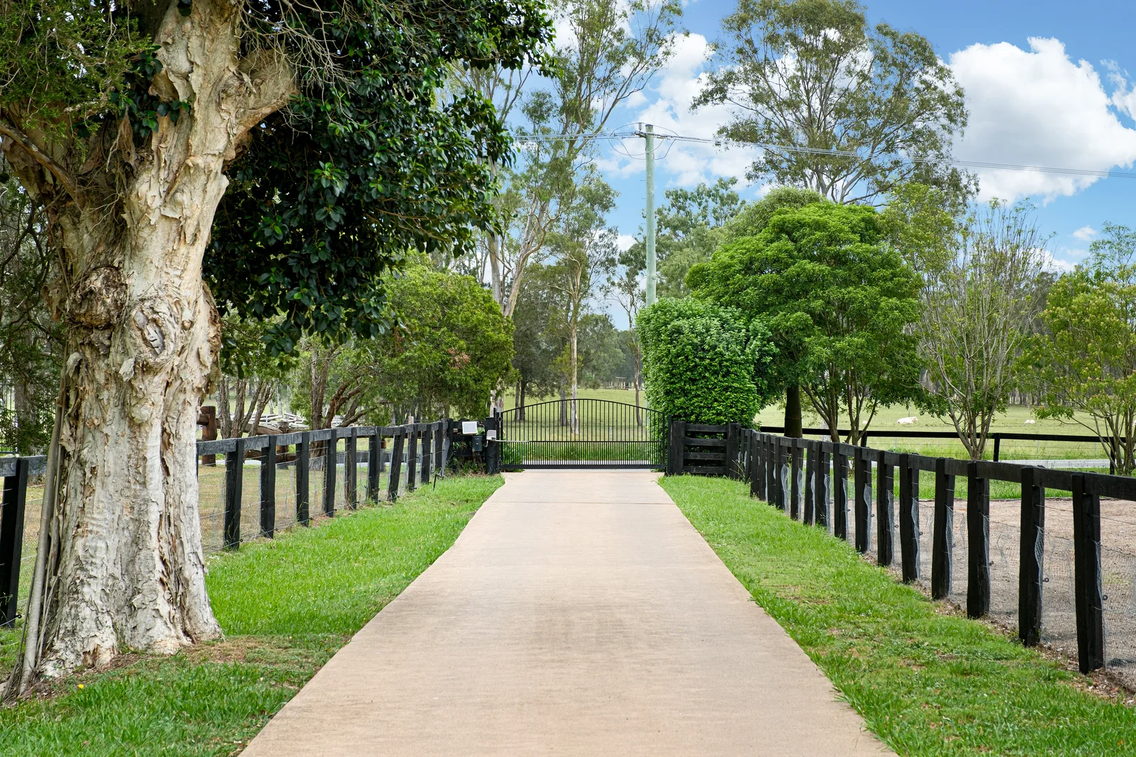 Additional image 34 of 96 Brandy Hill Drive, Brandy Hill NSW 2324