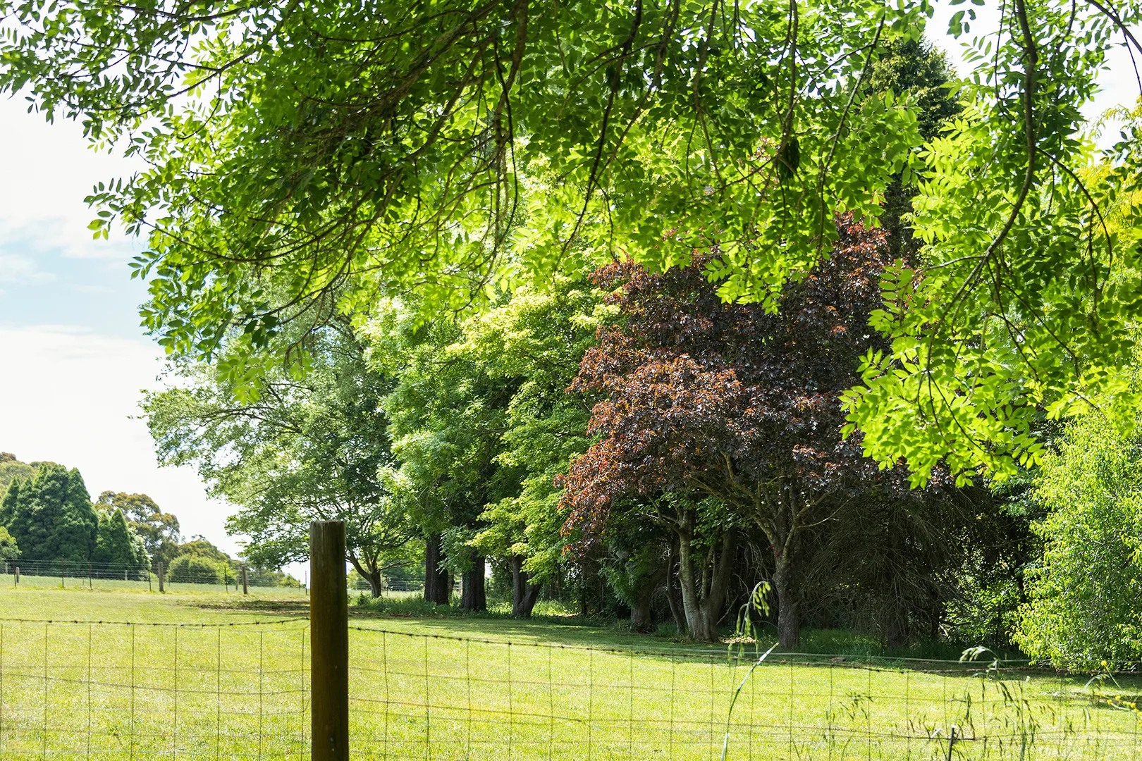 Additional image 6 of 85 Ringwood Road, Exeter NSW 2579