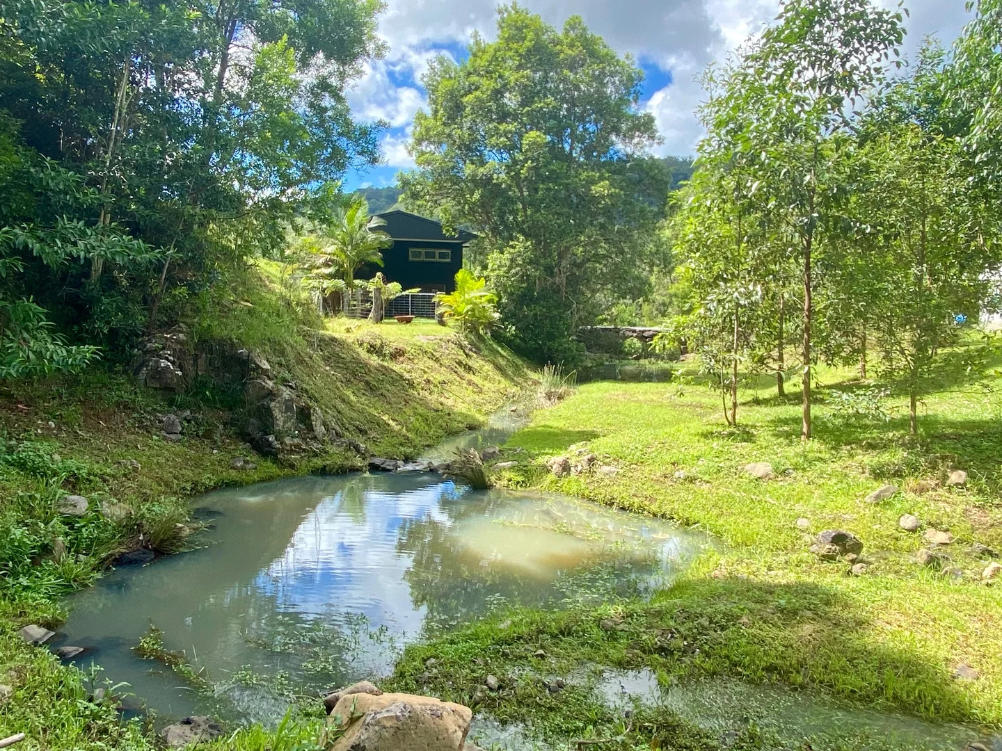 Additional image 8 of 1318 Currumbin Creek Road, Currumbin Valley QLD 4223