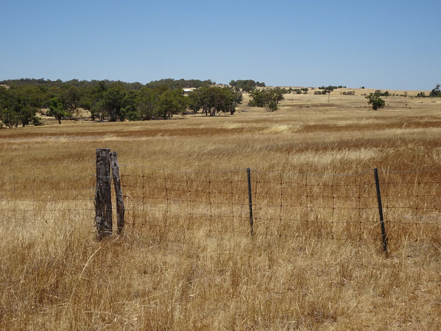 Additional image 9 of 160 Chittleborough Road, Brookton WA 6306