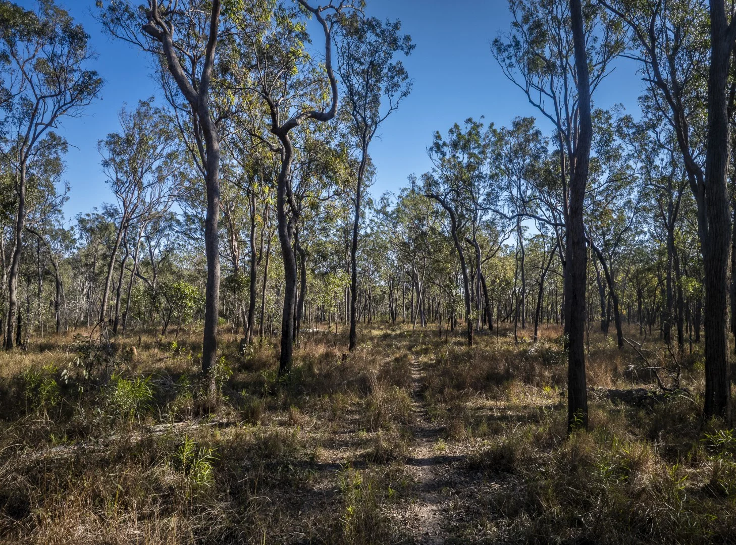 Additional image 31 of 620 Herbert River Road, Innot Hot Springs QLD 4872