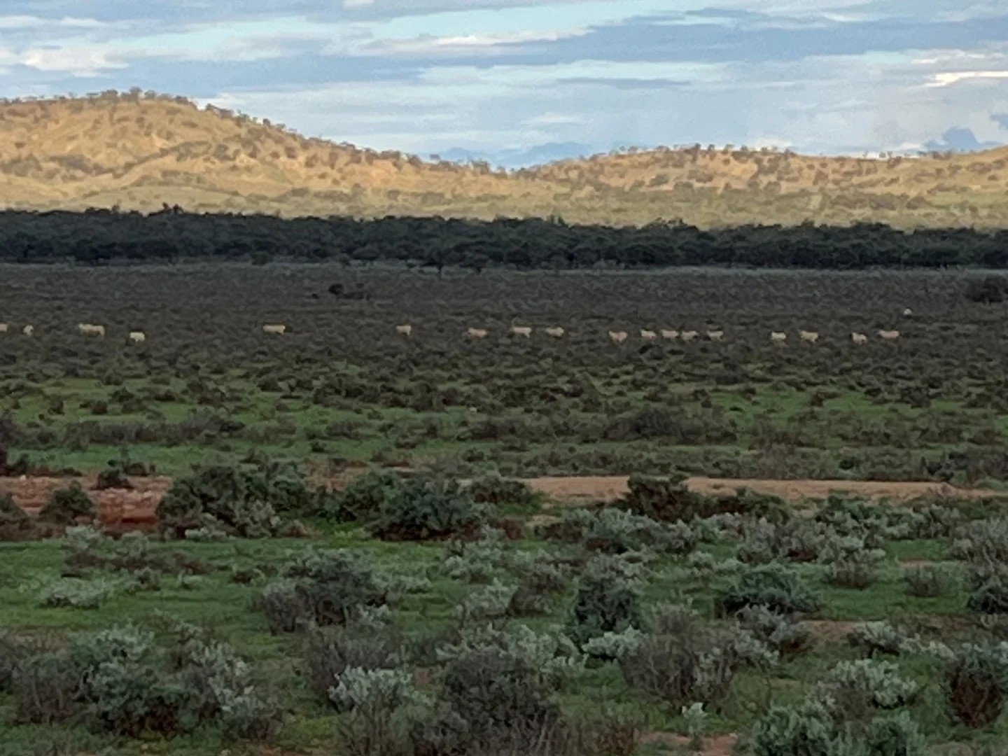 Additional image 4 of Lot 155 Hogback Lane, Warnes SA 5417