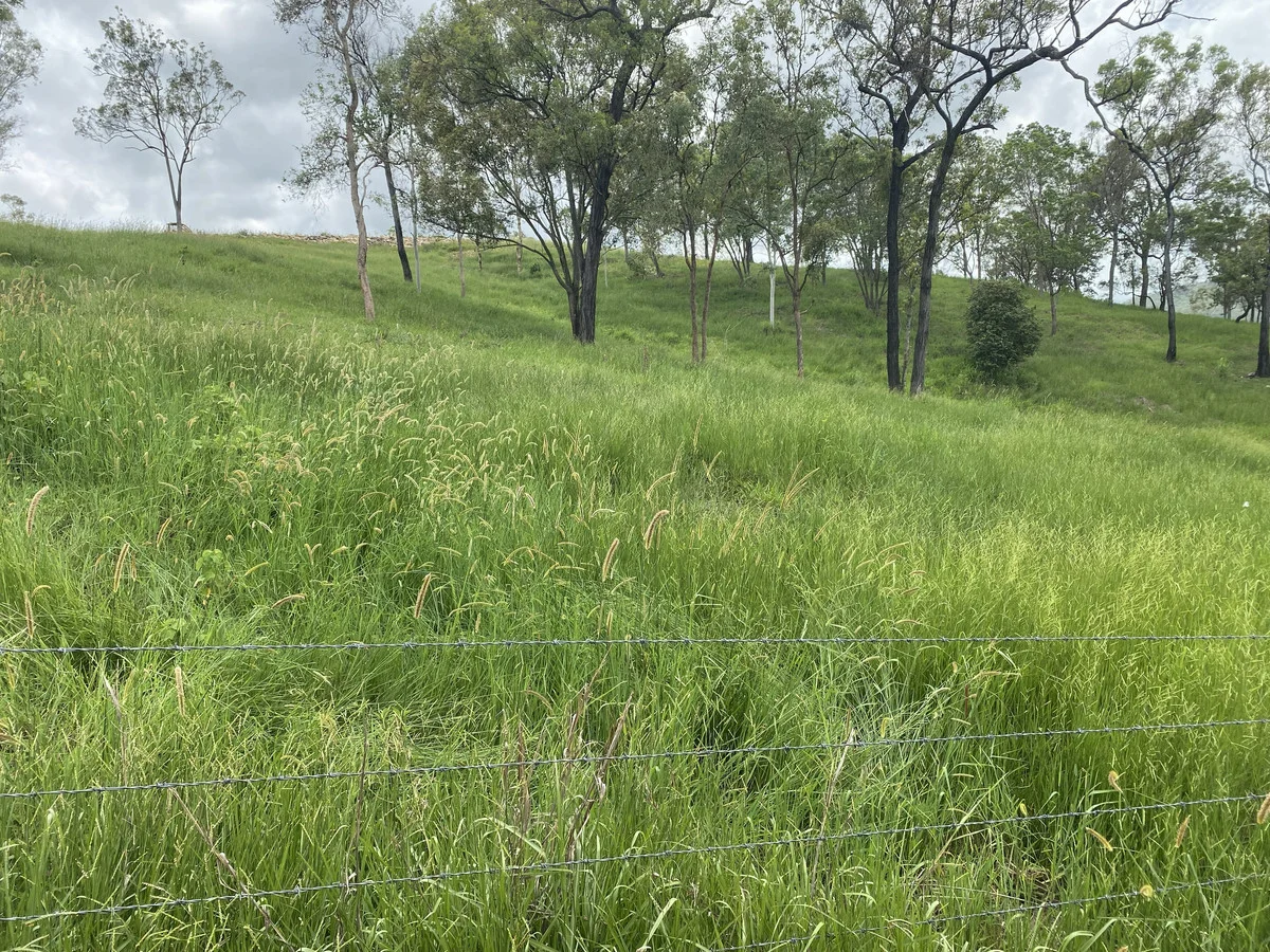 Additional image 13 of 558 Marlborough-Sarina Road, Sarina QLD 4737