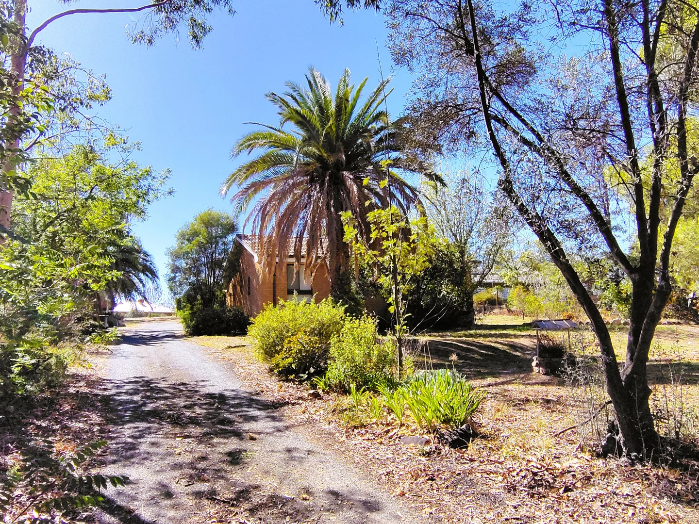 Additional image 9 of 26 Fitches Lane, Grenfell NSW 2810