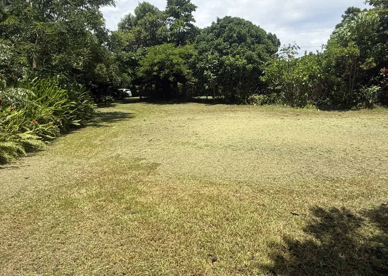 Additional image 3 of 21 Pioneer Street, Bingil Bay QLD 4852