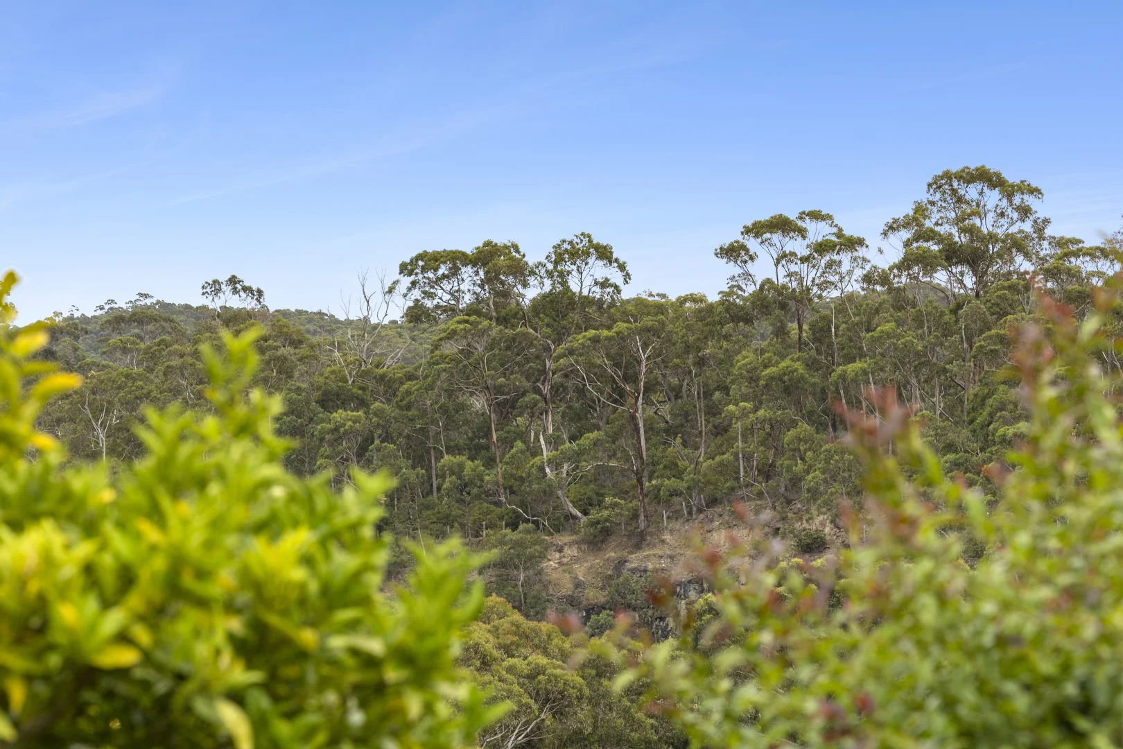 Additional image 11 of 16 Polwarth Road, Lorne VIC 3232