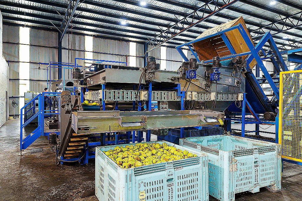 Additional image 8 of 595 Channel Road, Shepparton East VIC 3631