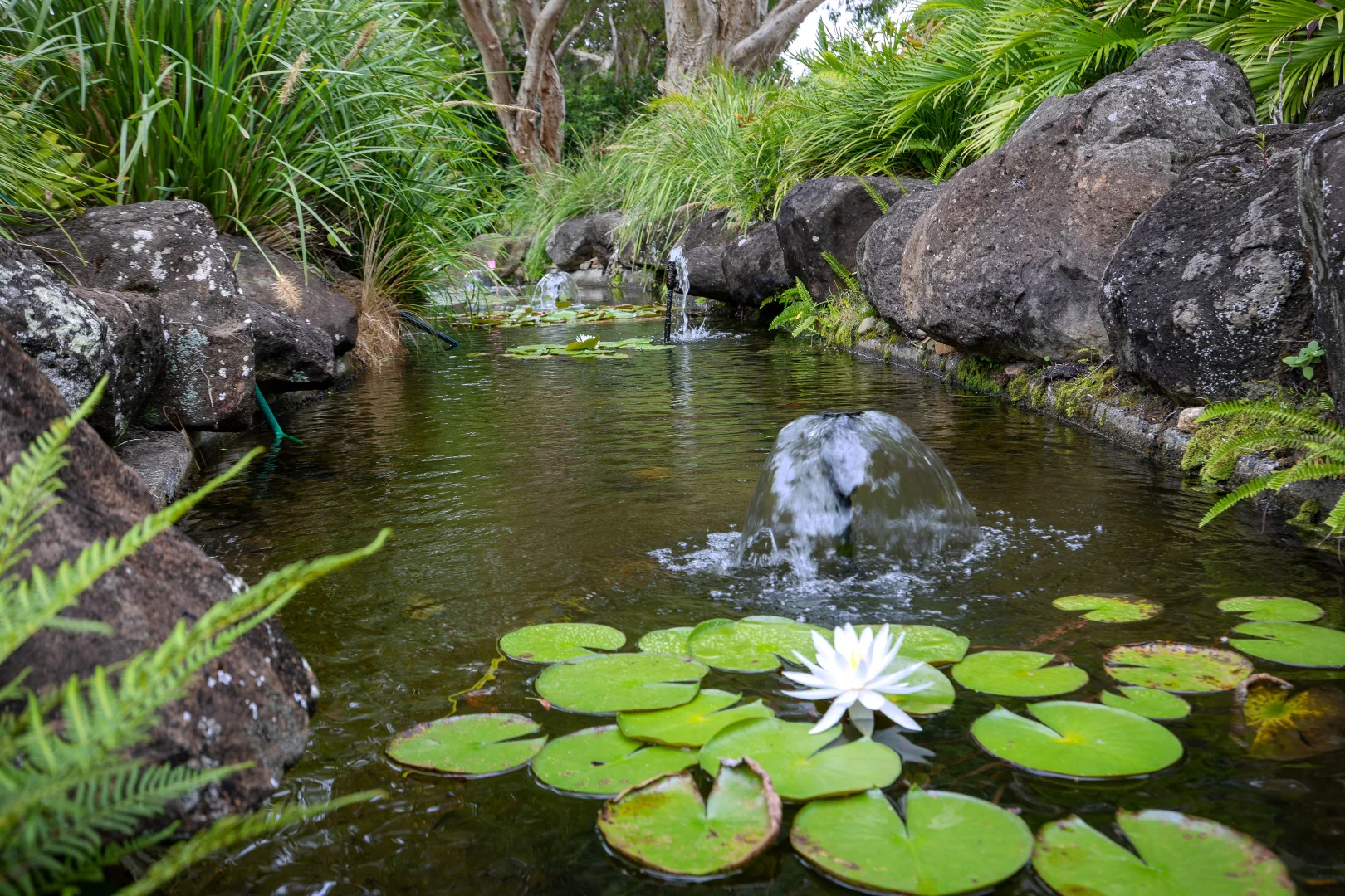 Additional image 28 of 99/8 Admiralty Drive, Surfers Paradise QLD 4217
