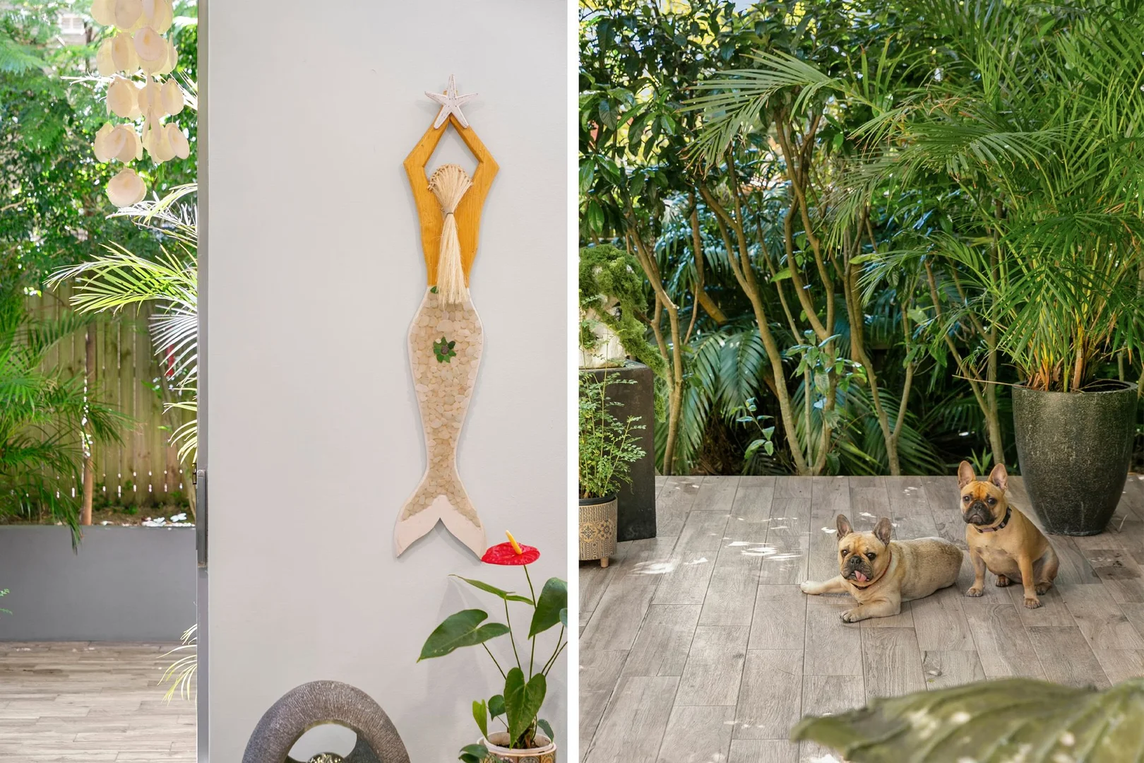 Additional image 12 of 3/29 Dalley Street, Queenscliff NSW 2096