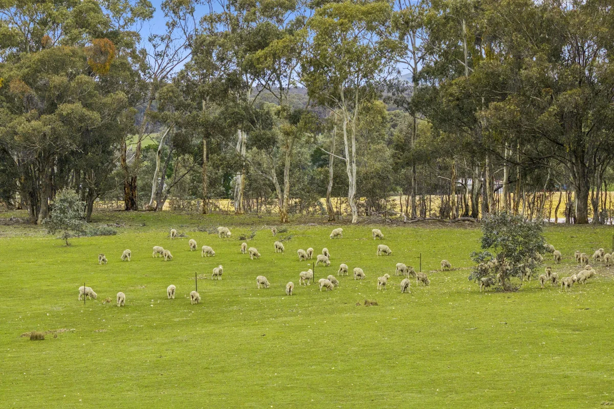 Additional image 31 of 1835 Lexton-Talbot Road, Talbot VIC 3371
