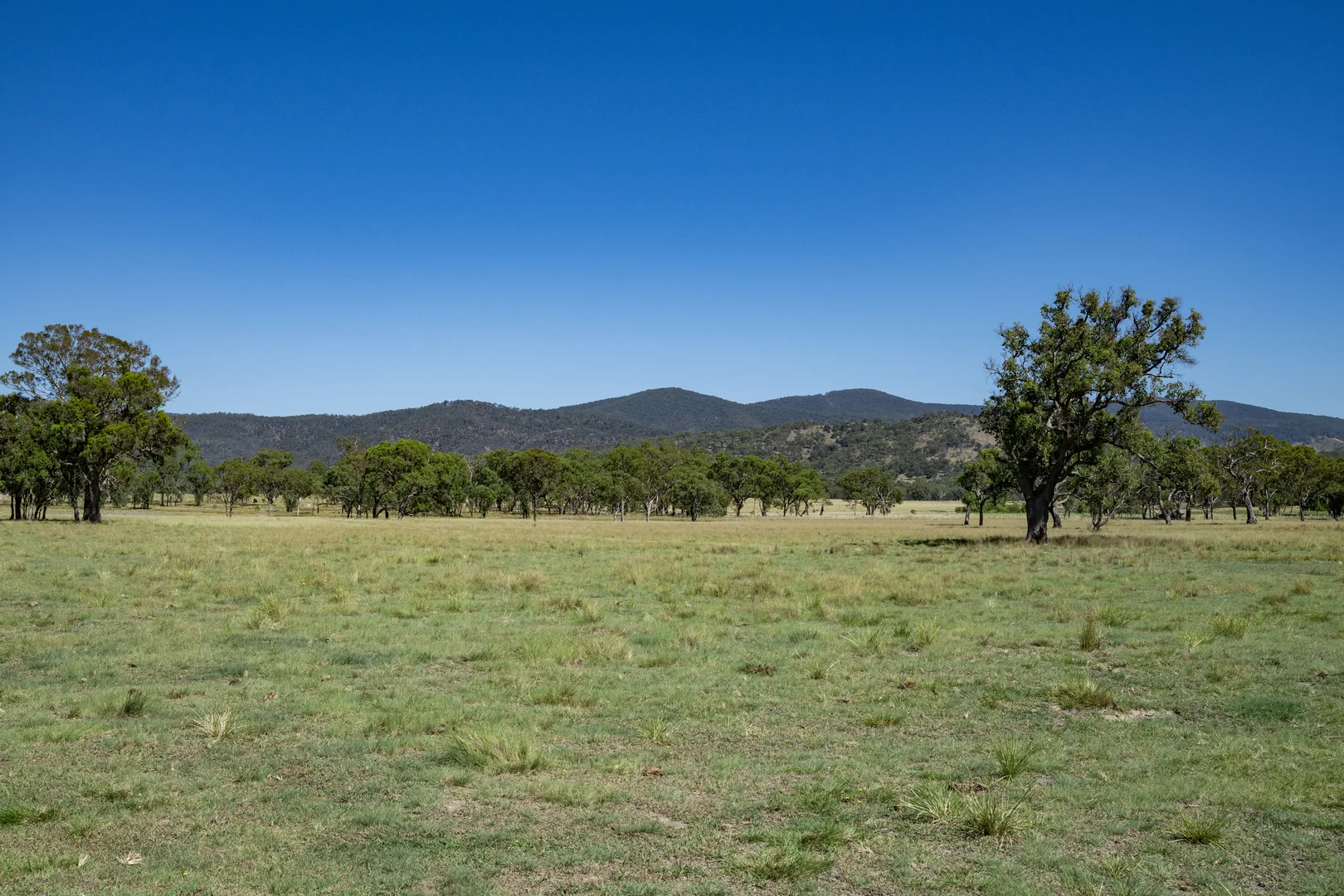 Additional image 6 of 72 Woodside Road, Tenterfield NSW 2372