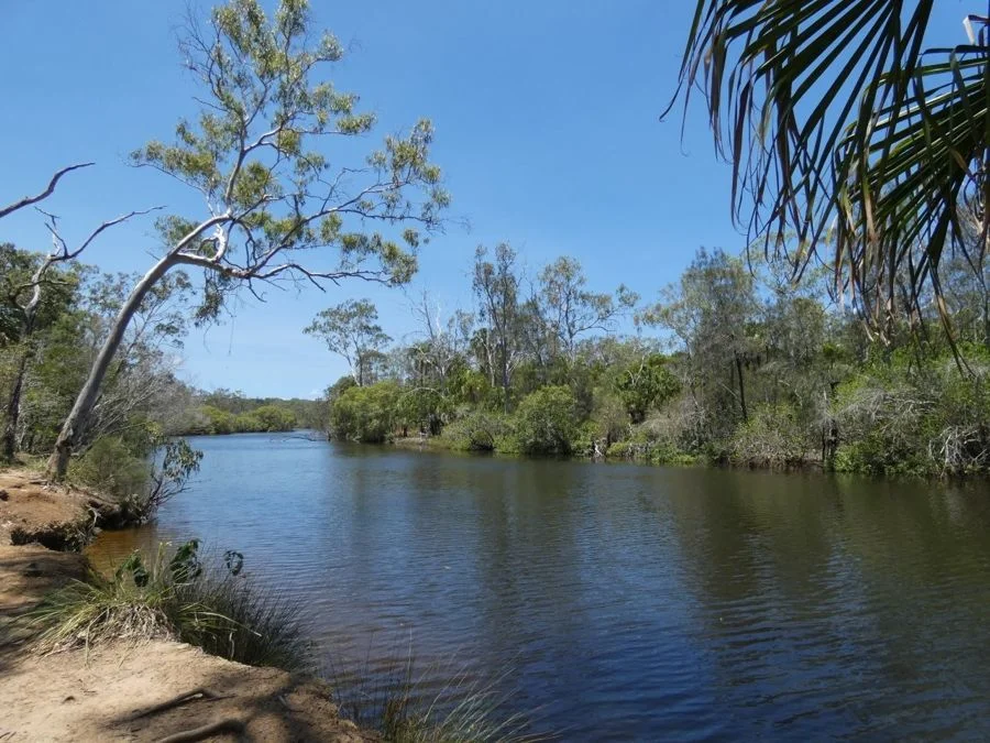 Additional image 24 of 668 Matchbox Road, Deepwater QLD 4674