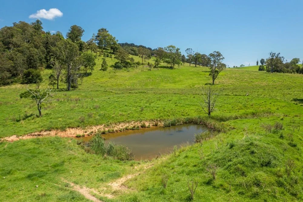 Additional image 31 of 310 Yessabah Road, Yessabah NSW 2440